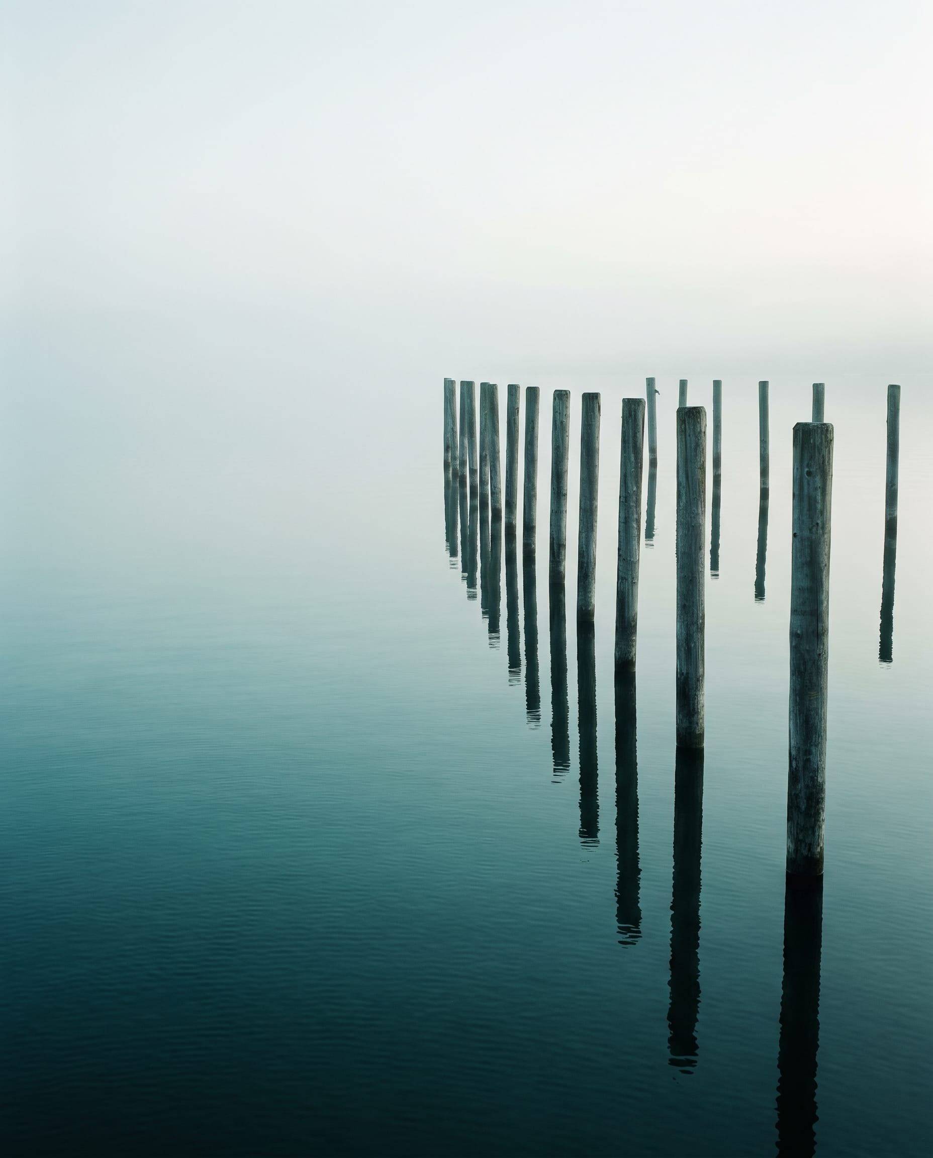 Holzpfähle stehen in einer Reihe im spiegelglatten Wasser eines Sees, darüber dichter Nebel